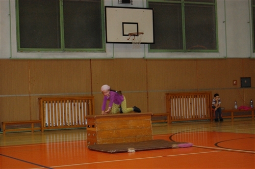 Obrázek v galerii